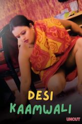 Desi-Kaamwali