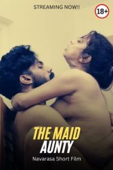 themaid-300×450